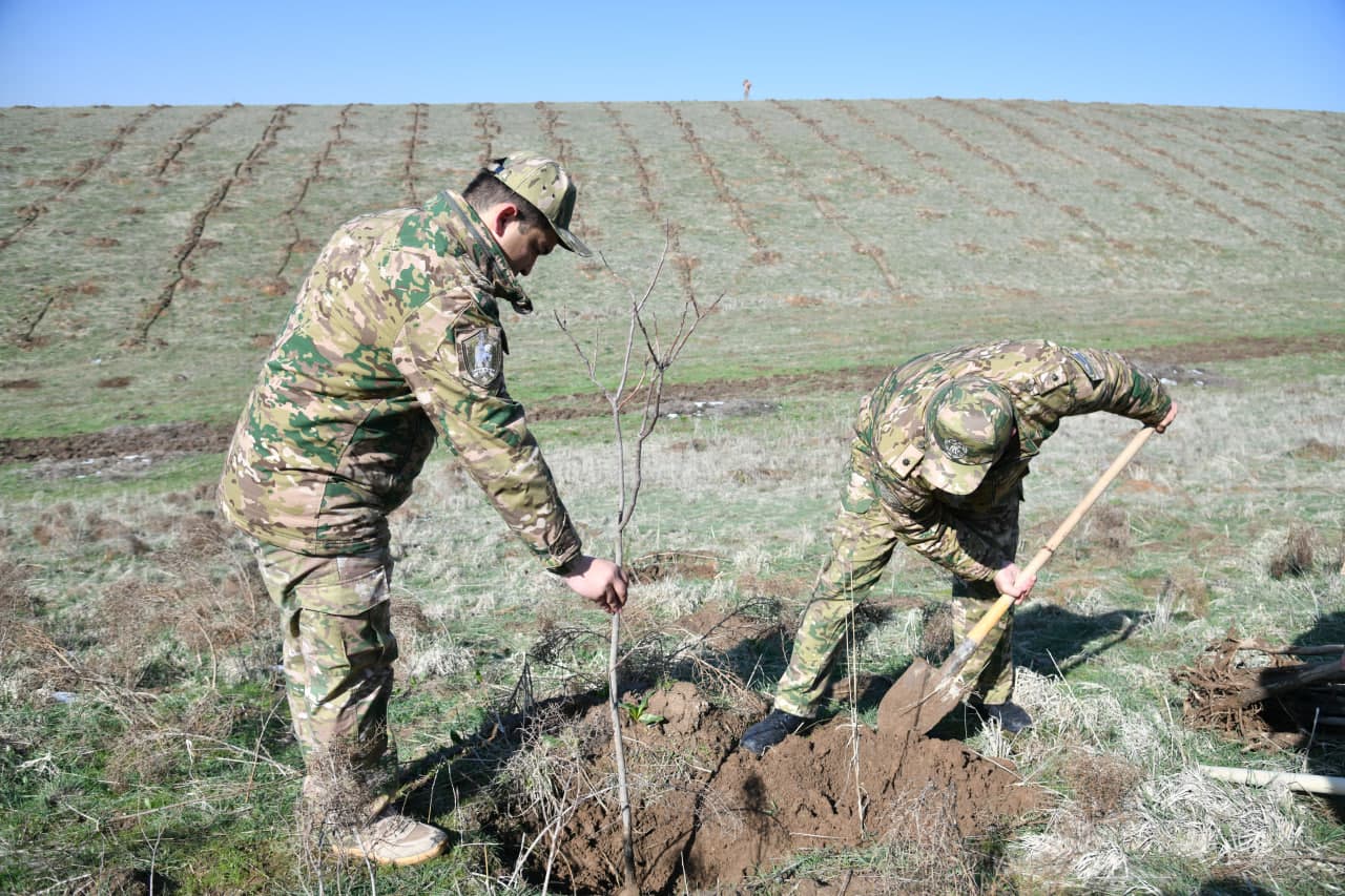 “Yashil makon” — umummilliy an’ana