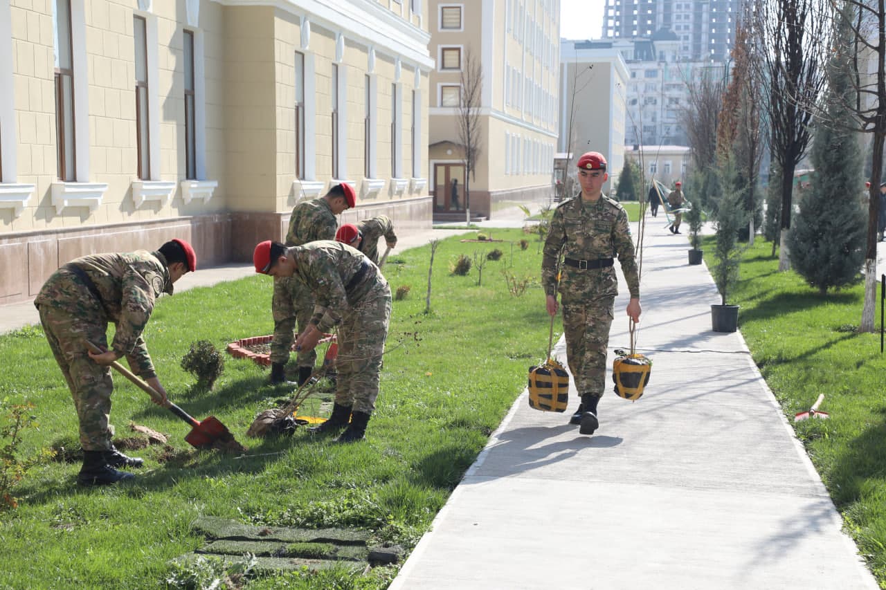 Ko‘chat ekib, hududni bezash — birdamlik ramzi
