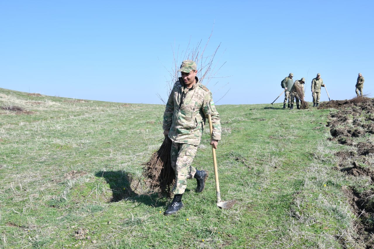 “Yashil makon” — umummilliy an’ana