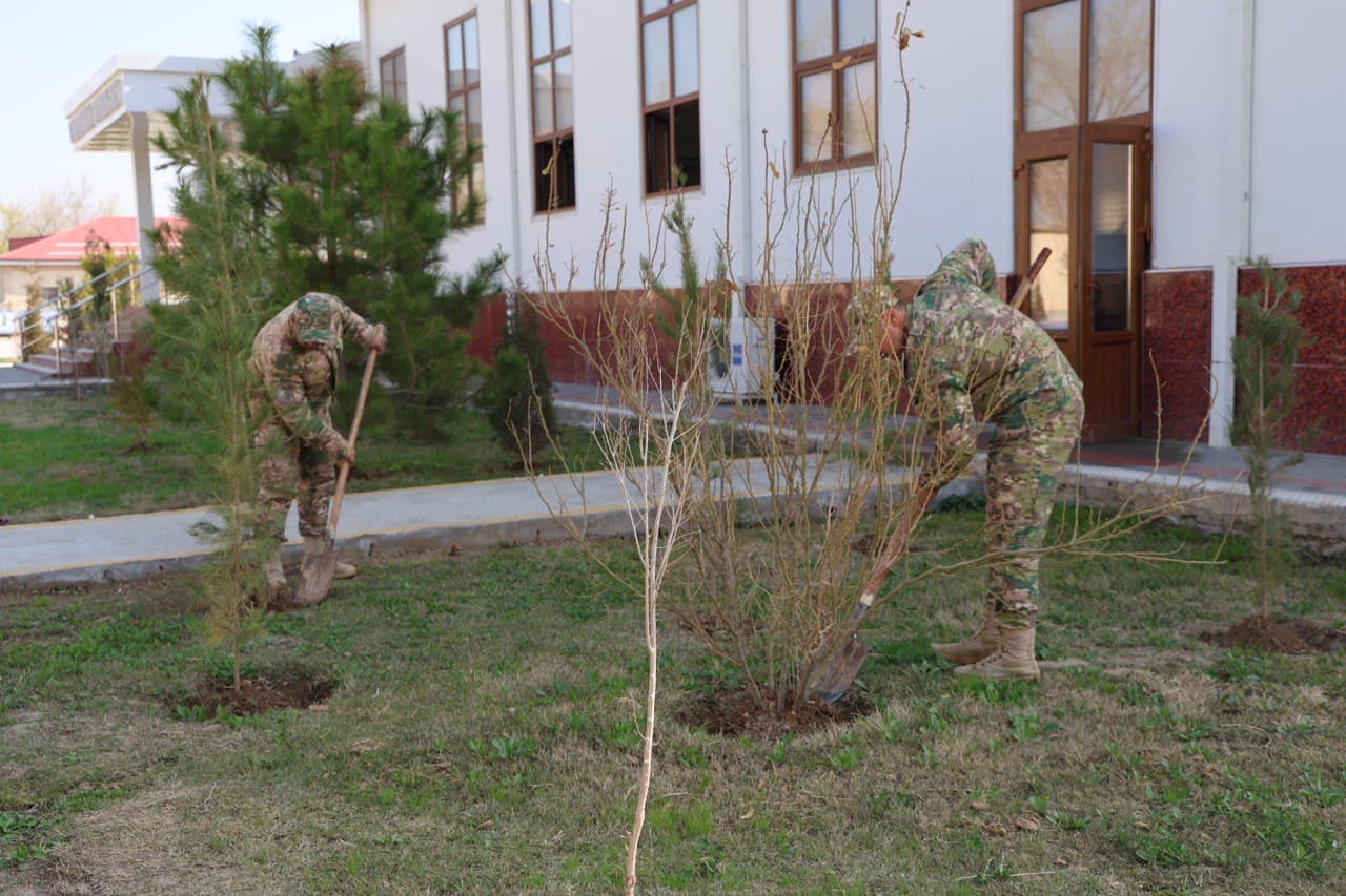 Qashqadaryoda ham harbiylar ommaviy hasharlarda faol qatnashdi