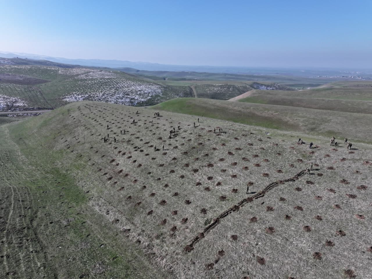 “Yashil makon” — umummilliy an’ana