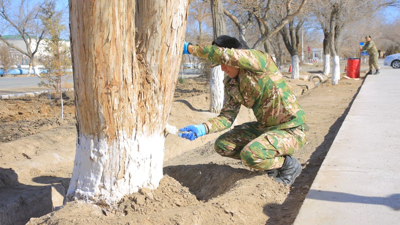 Umumxalq hashari — bunyodkorlik, hamjihatlik va vatanparvarlik ifodasi