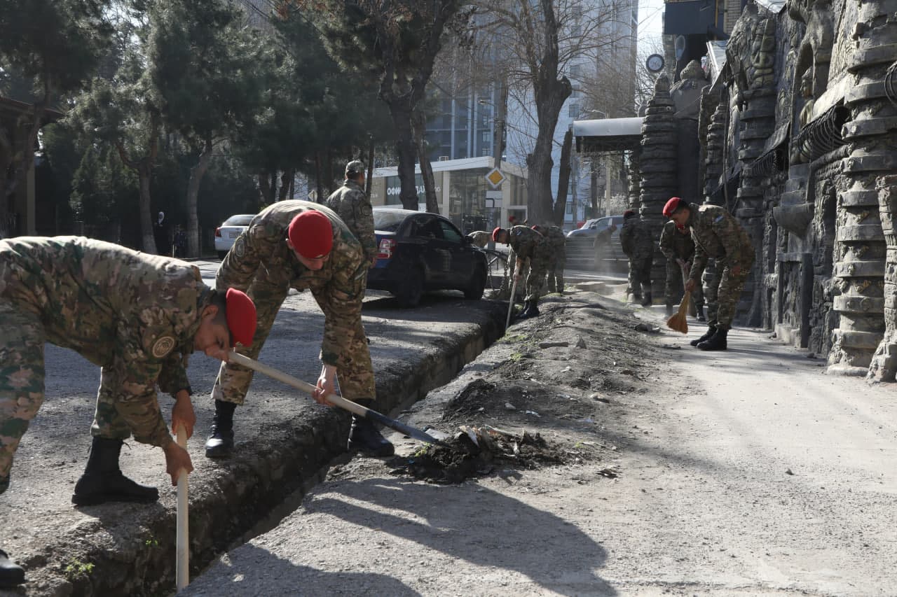 Ko‘chat ekib, hududni bezash — birdamlik ramzi