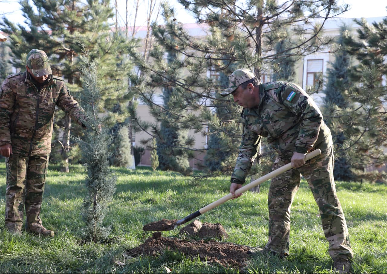 Ko‘chat ekib, hududni bezash — birdamlik ramzi
