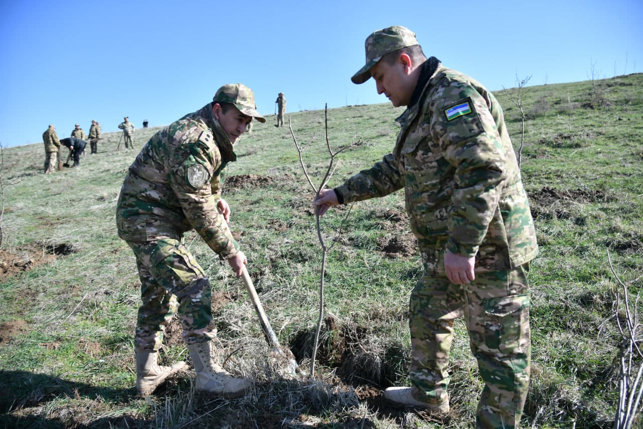 “Yashil makon” — umummilliy an’ana