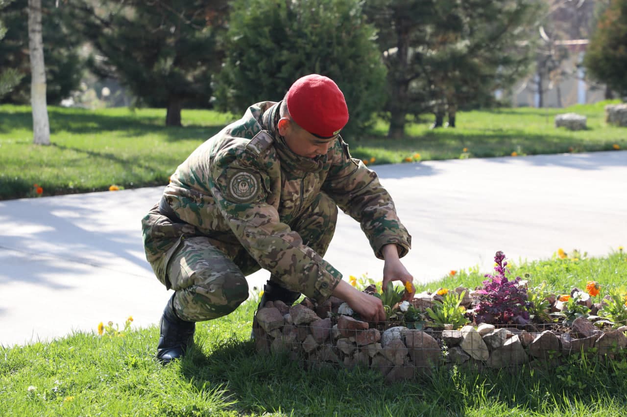 Ko‘chat ekib, hududni bezash — birdamlik ramzi