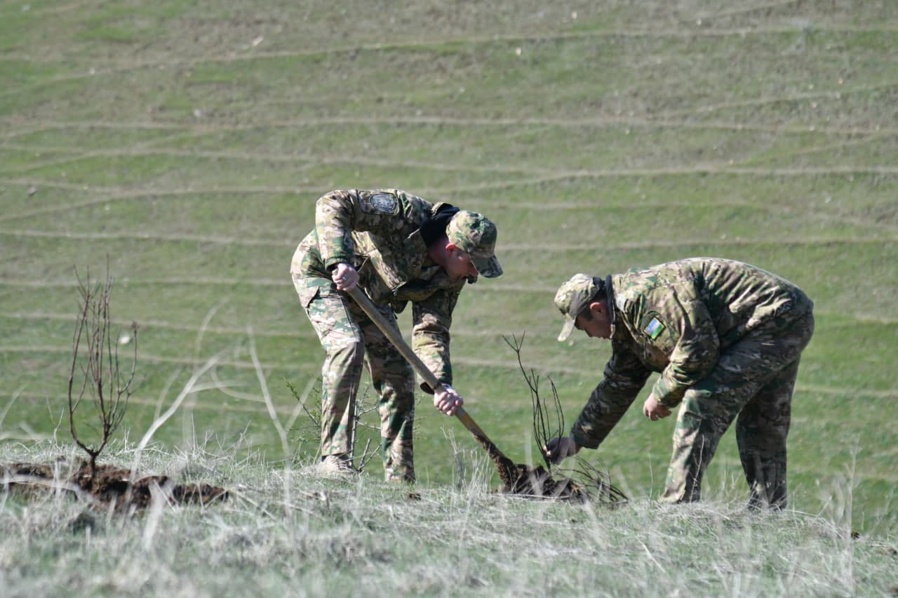 “Yashil makon” — umummilliy an’ana