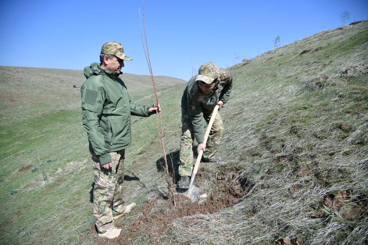 “Yashil makon” — umummilliy an’ana