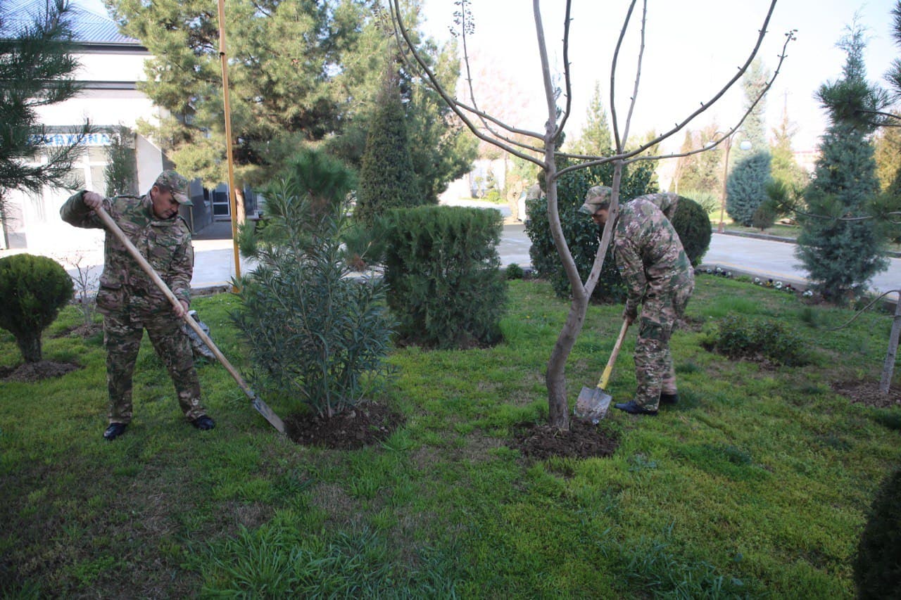 Qashqadaryoda ham harbiylar ommaviy hasharlarda faol qatnashdi