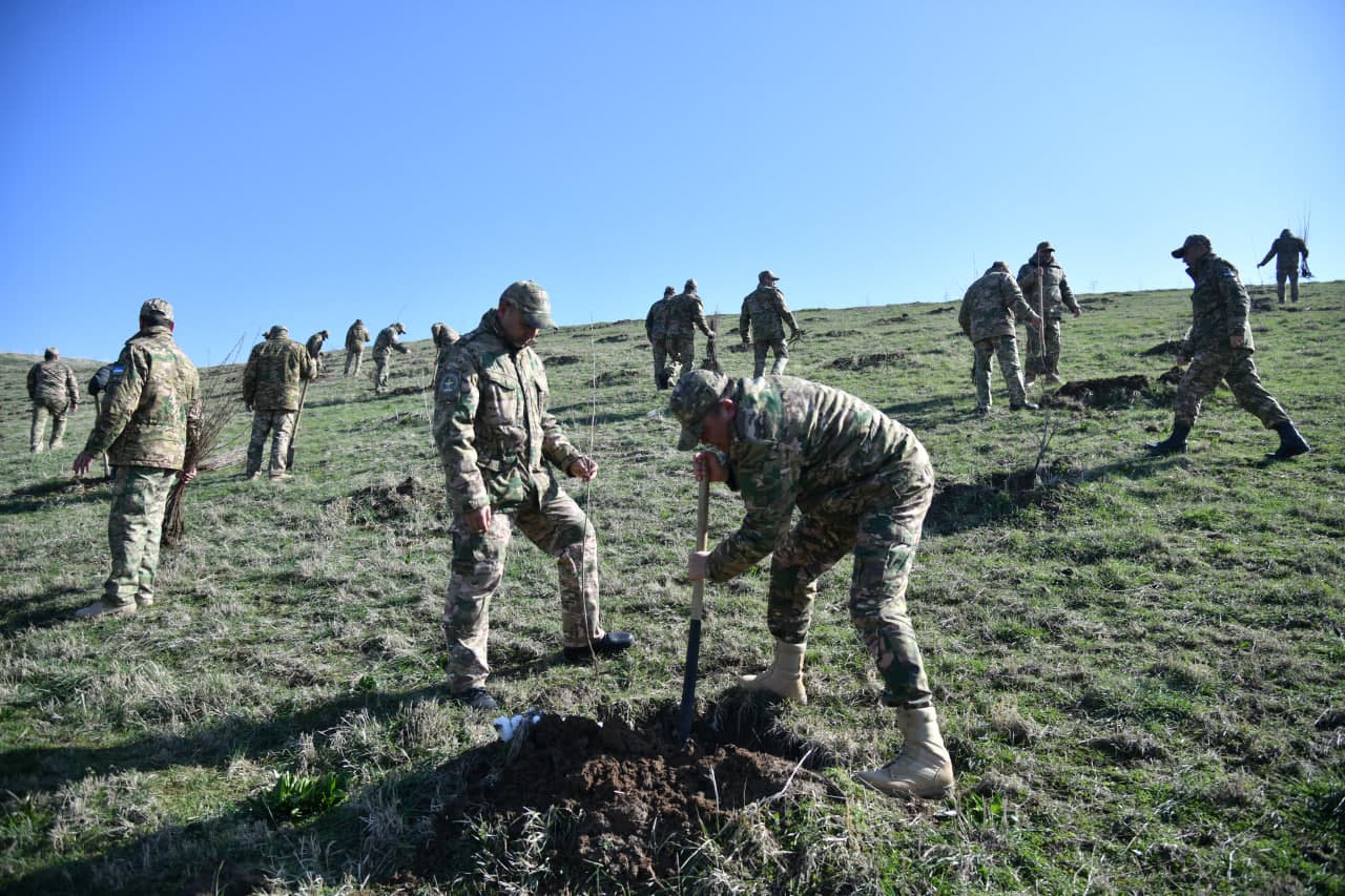 “Yashil makon” — umummilliy an’ana