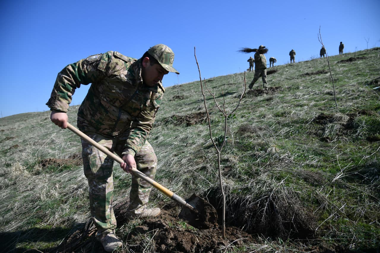 “Yashil makon” — umummilliy an’ana