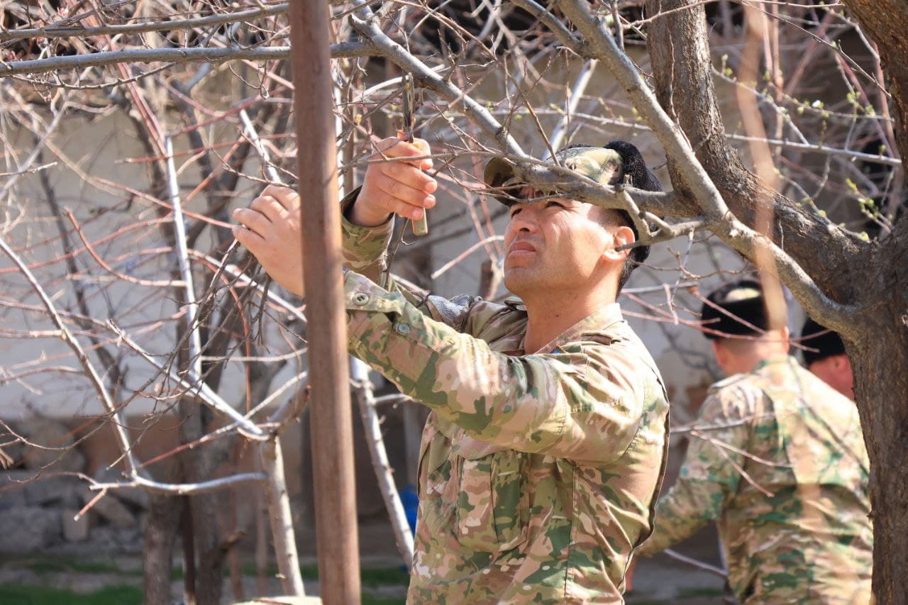 Umumxalq xayriya hashari doirasida obodonlashtirish ishlari keng ko‘lamda davom etmoqda