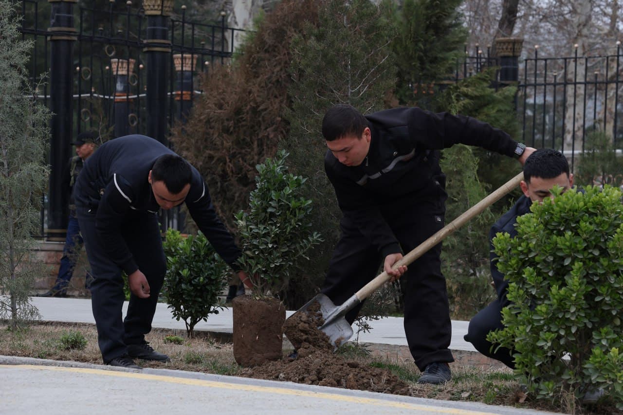 Umumxalq xayriya hashari doirasida obodonlashtirish ishlari keng ko‘lamda davom etmoqda