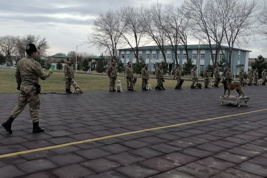 Sertifikatlar o‘z egalariga topshirildi