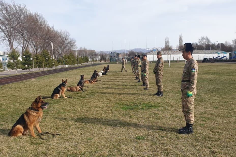 Sertifikatlar o‘z egalariga topshirildi