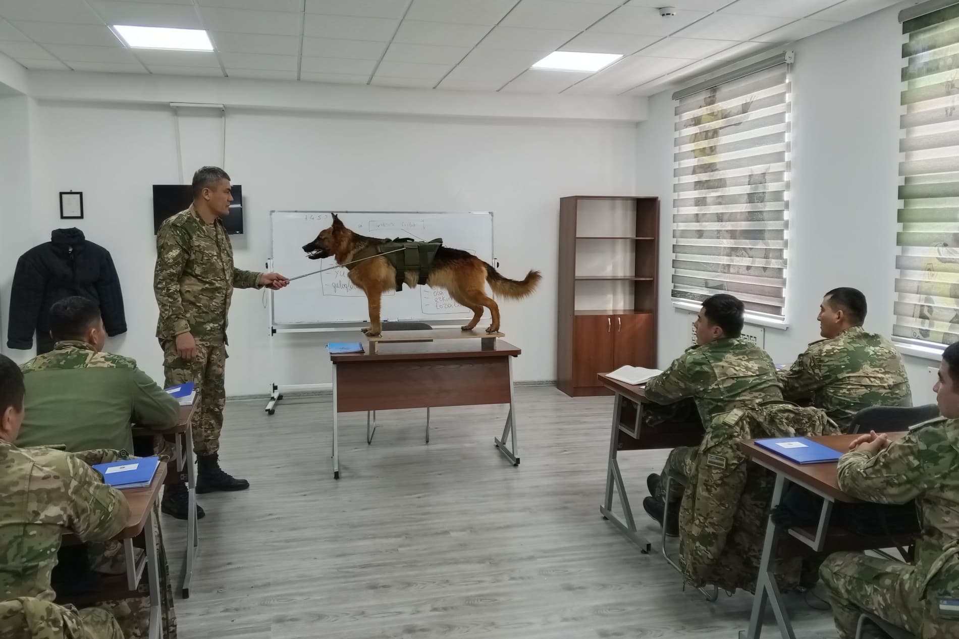 Sertifikatlar o‘z egalariga topshirildi