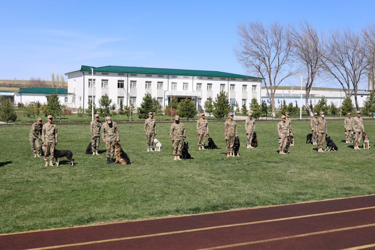 Укрепляется международное сотрудничество в области кинологии