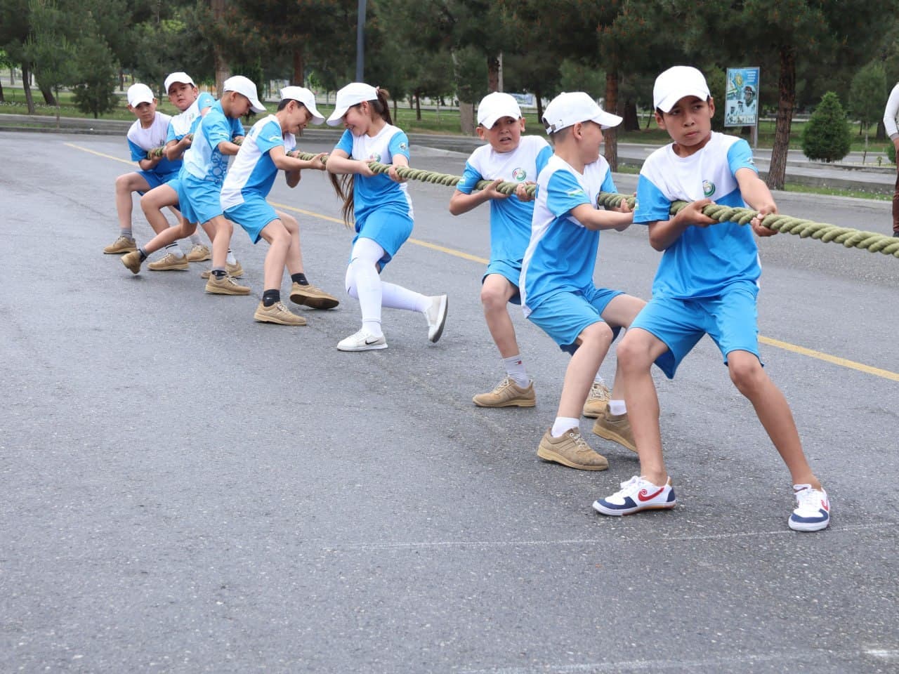 Jasorat, bilim va kuch birlashgan maydon