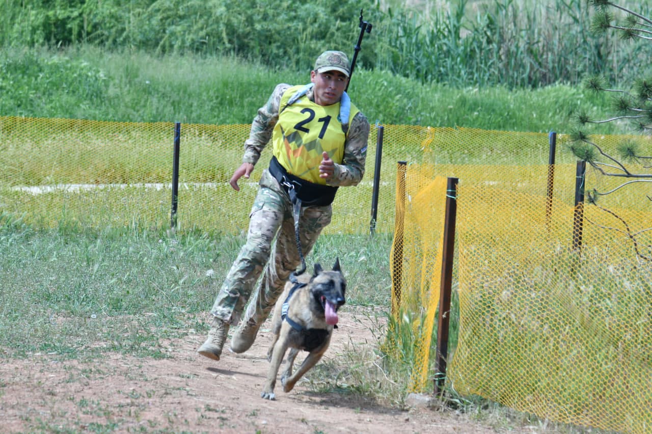 Dog-biatlonda jasorat va mahorat sinovi