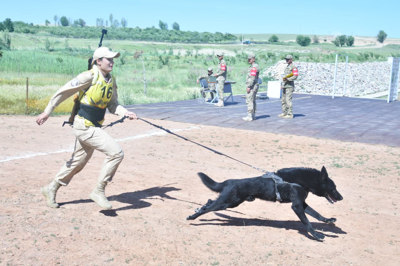 Dog-biatlonda jasorat va mahorat sinovi
