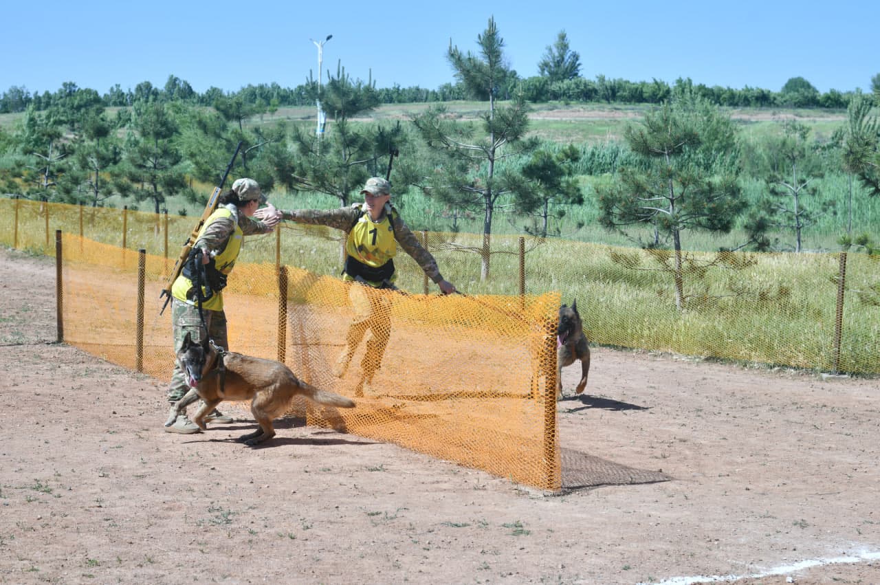 Dog-biatlonda jasorat va mahorat sinovi
