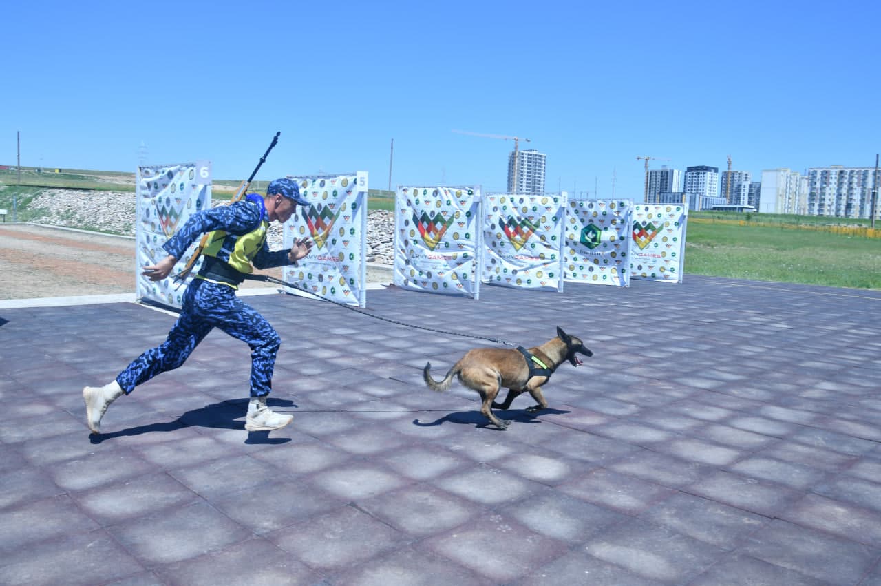 Dog-biatlonda jasorat va mahorat sinovi