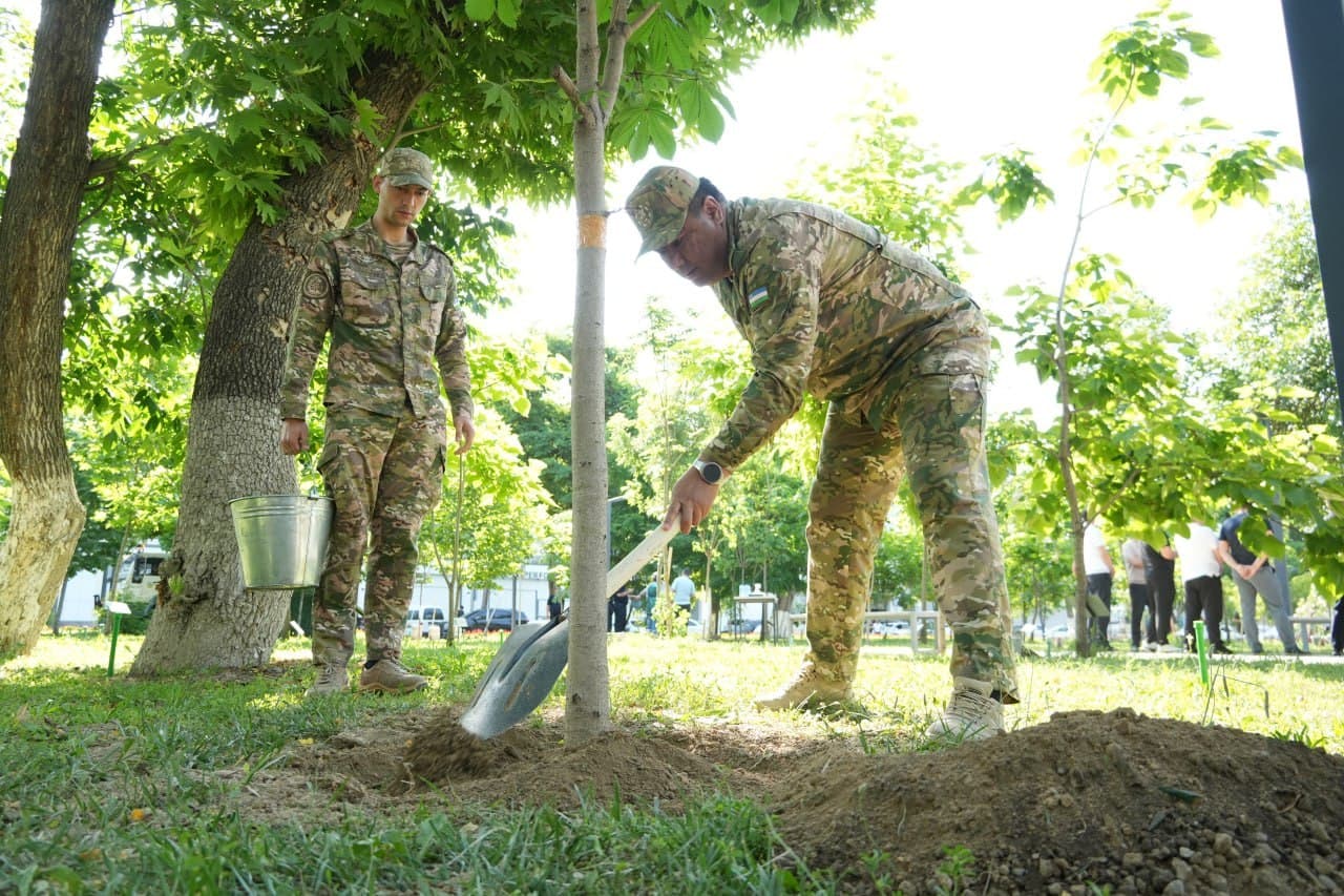 “Yashil makon” — ekologik barqarorlik va obodlik sari muhim qadam