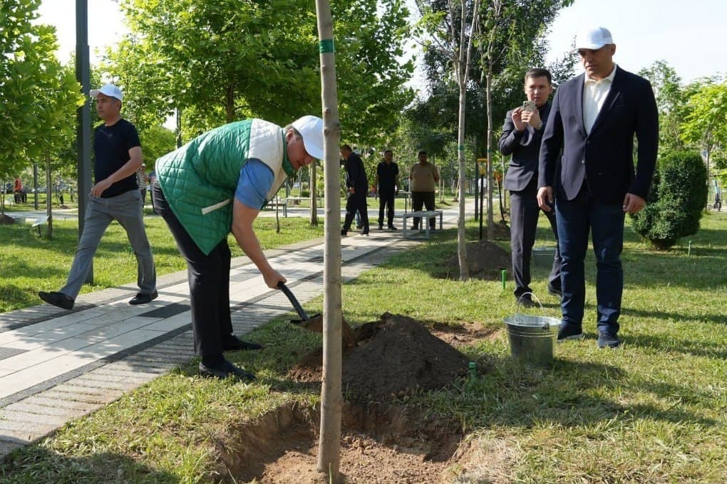 “Yashil makon” — ekologik barqarorlik va obodlik sari muhim qadam