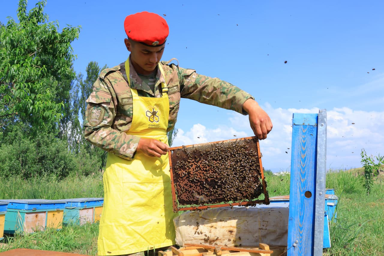 Muddatli harbiy xizmatchilar kasb sirlarini puxta egallamoqda