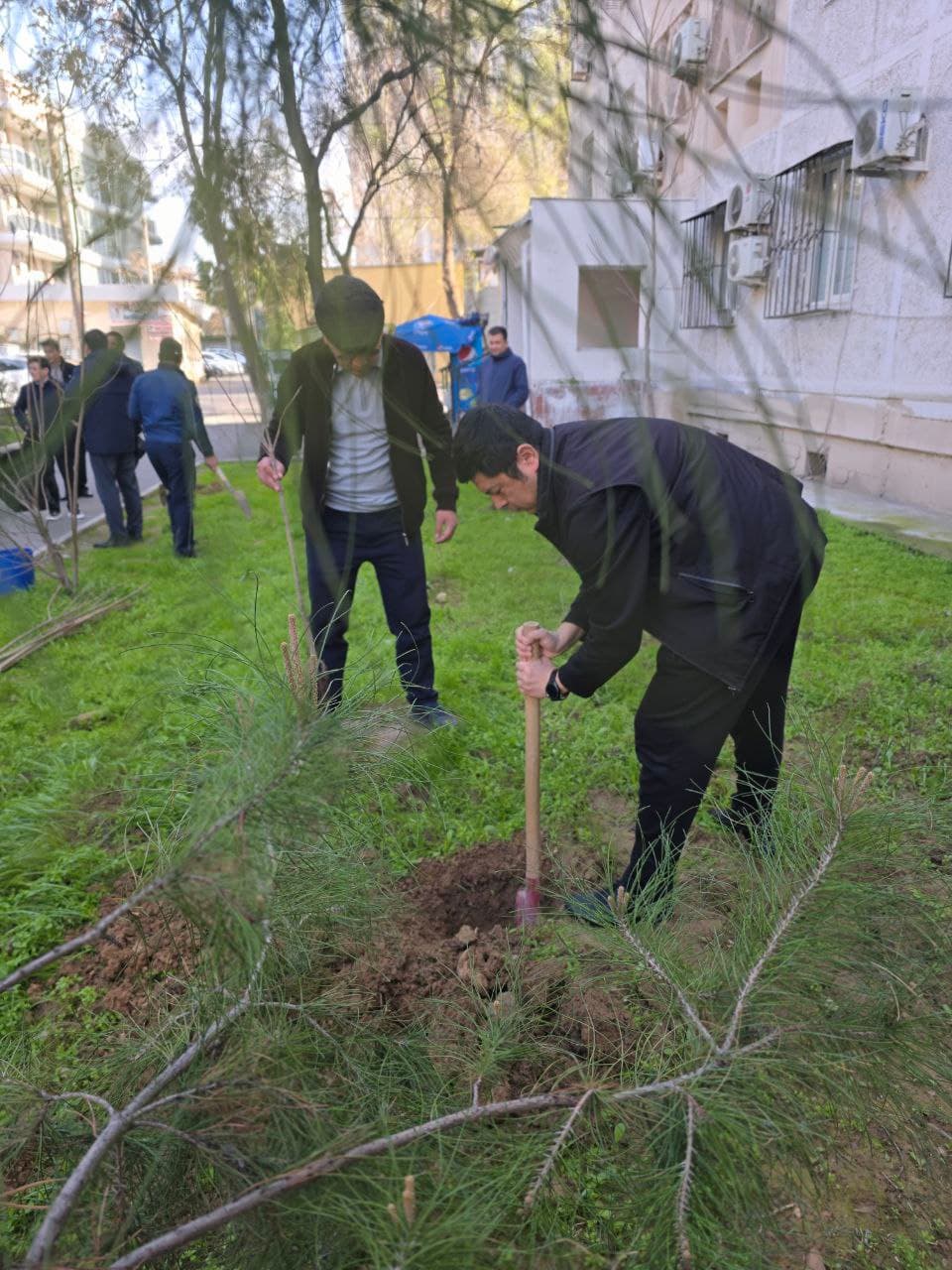 Bahorgi koʻchat ekish tadbiri boʻlib oʻtdi