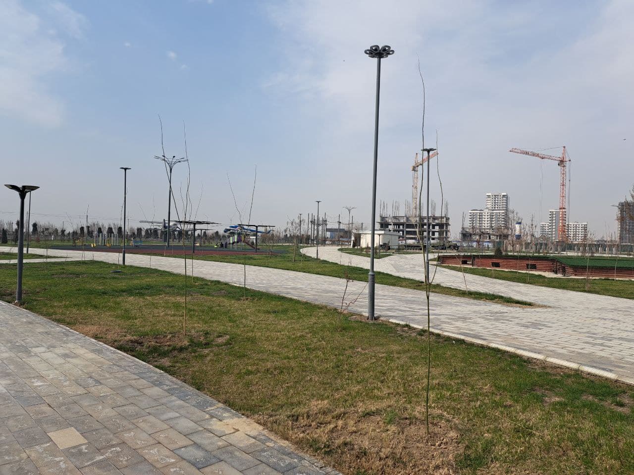 "Yashil makon" umummilliy loyihasi doirasida daraxt ko‘chatlari ekildi