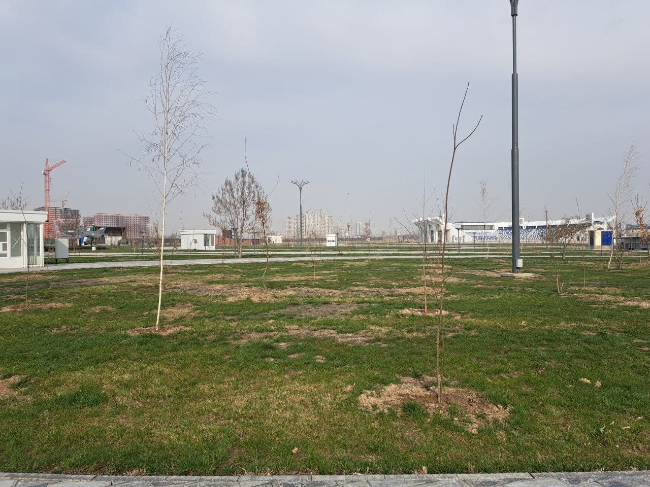 "Yashil makon" umummilliy loyihasi doirasida daraxt ko‘chatlari ekildi