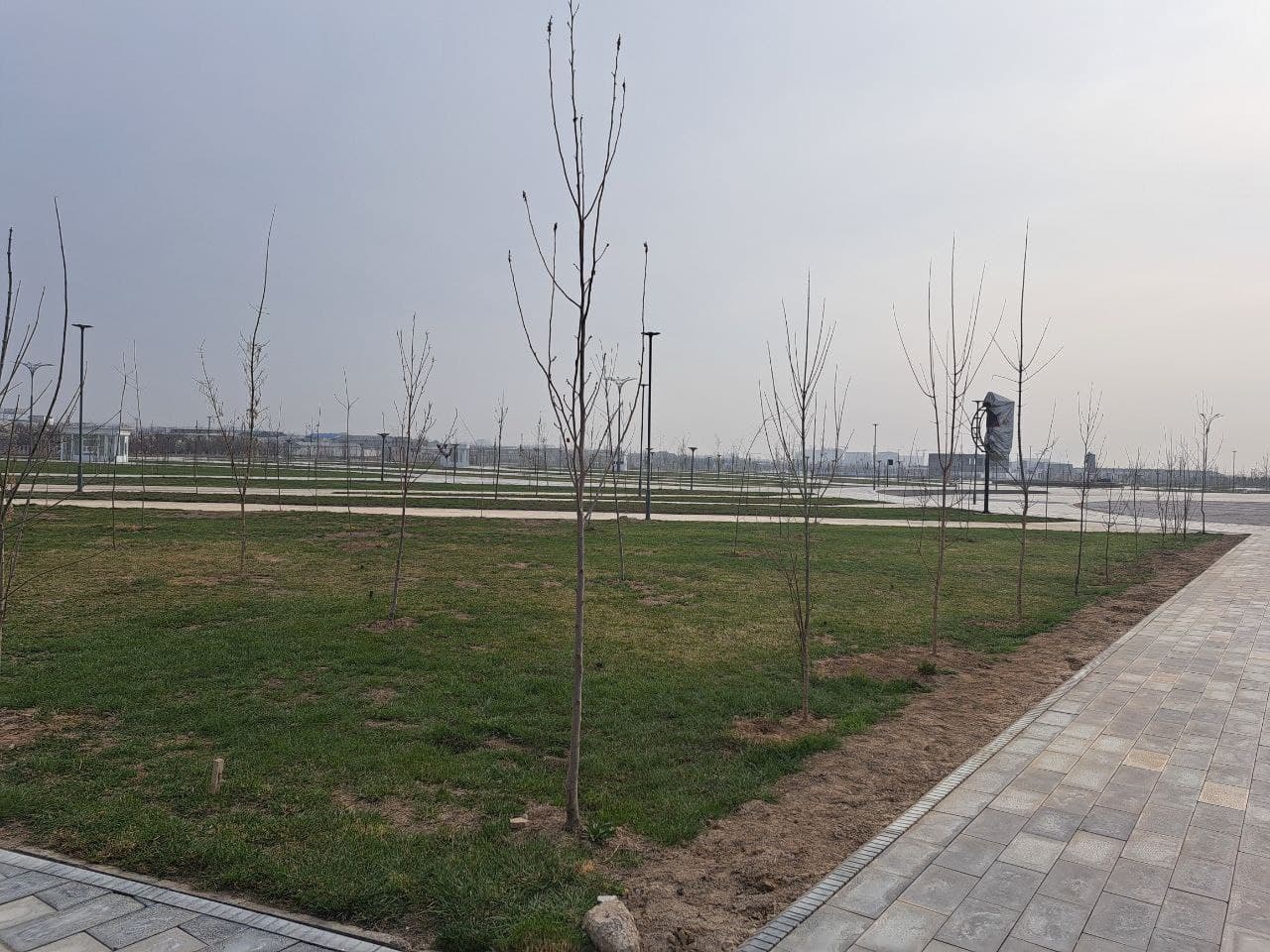 "Yashil makon" umummilliy loyihasi doirasida daraxt ko‘chatlari ekildi