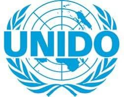 UNIDO bilan sifat infratuzilmasini rivojlantirish bo‘yicha hamkorlik istiqbollari muhokama qilindi