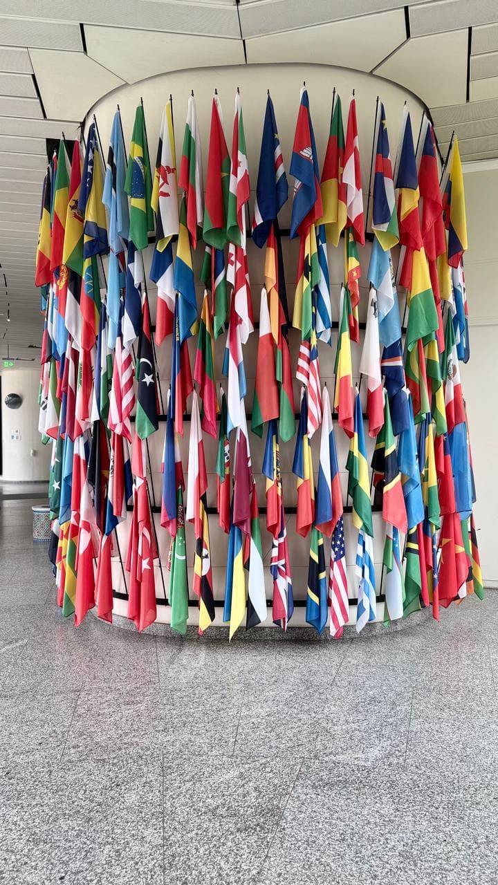 ОБРАЩЕНИЕ С ВЫВЕДЕННЫМИ ИЗ ОБРАЩЕНИЯ ИСТОЧНИКАМИ ИОНИЗИРУЮЩЕГО ИЗЛУЧЕНИЯ