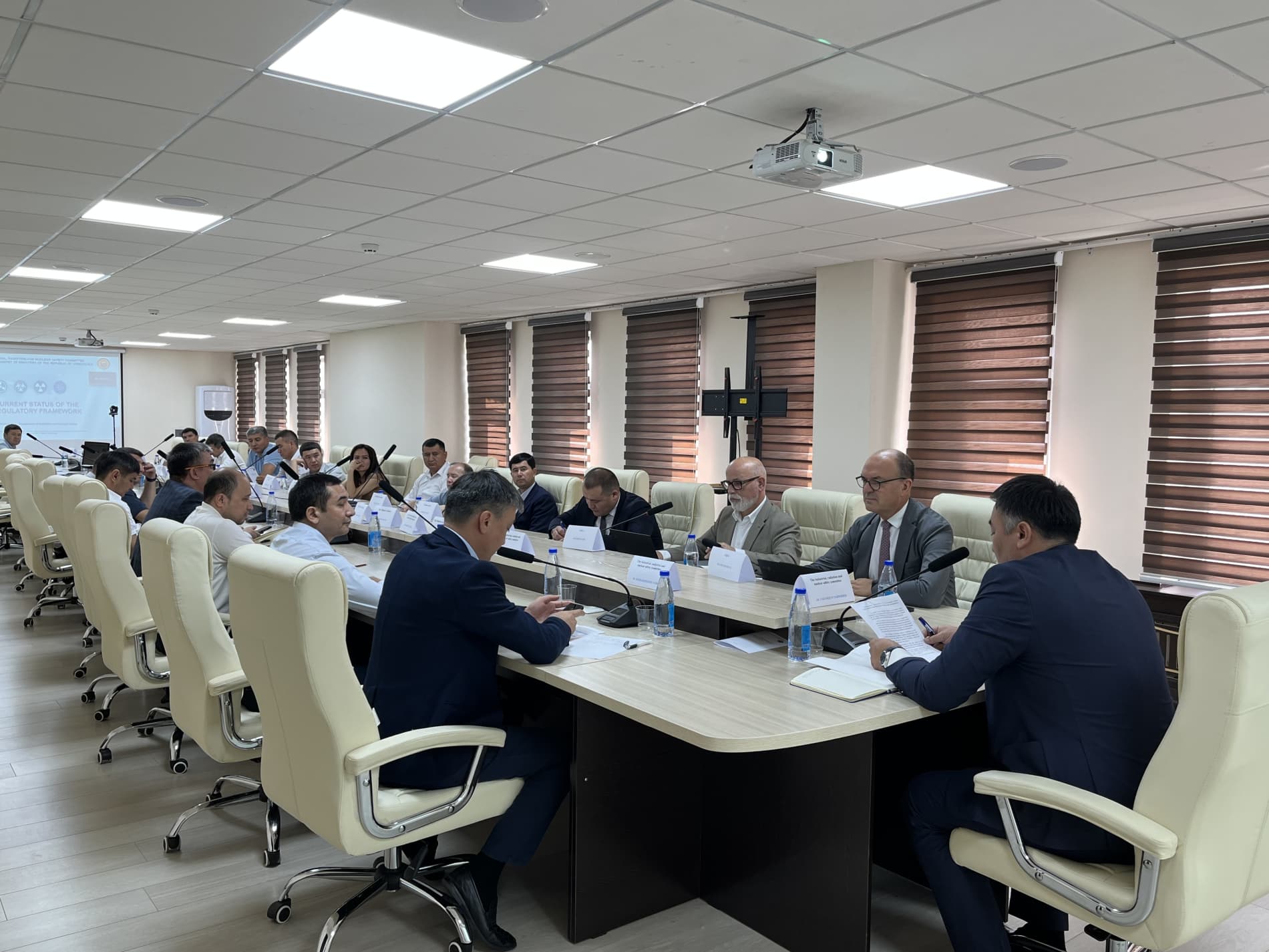 КОМПЛЕКСНЫЕ УСЛУГИ ПО РАССМОТРЕНИЮ ВОПРОСОВ РЕГУЛИРОВАНИЯ В ОБЛАСТИ РАДИАЦИОННОЙ И ЯДЕРНОЙ БЕЗОПАСНОСТИ — IRRS