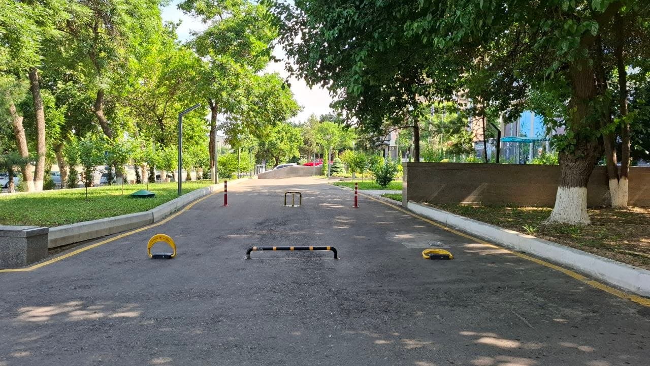 🌿 Sanoat, radiatsiya va yadro xavfsizligi qo'mitasida "Avtomobilsiz kun": Ekologiya va sog'lom turmush tarzi sari muhim qadam