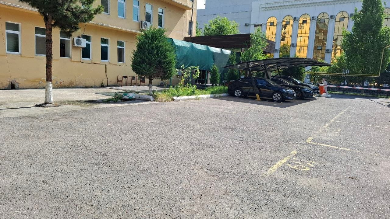 🌿 Sanoat, radiatsiya va yadro xavfsizligi qo'mitasida "Avtomobilsiz kun": Ekologiya va sog'lom turmush tarzi sari muhim qadam