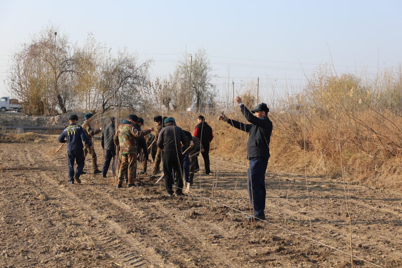 Xorazm viloyati FVB "Yashil makon" umummilliy loyihasi doirasidagi tadbirlarda faol