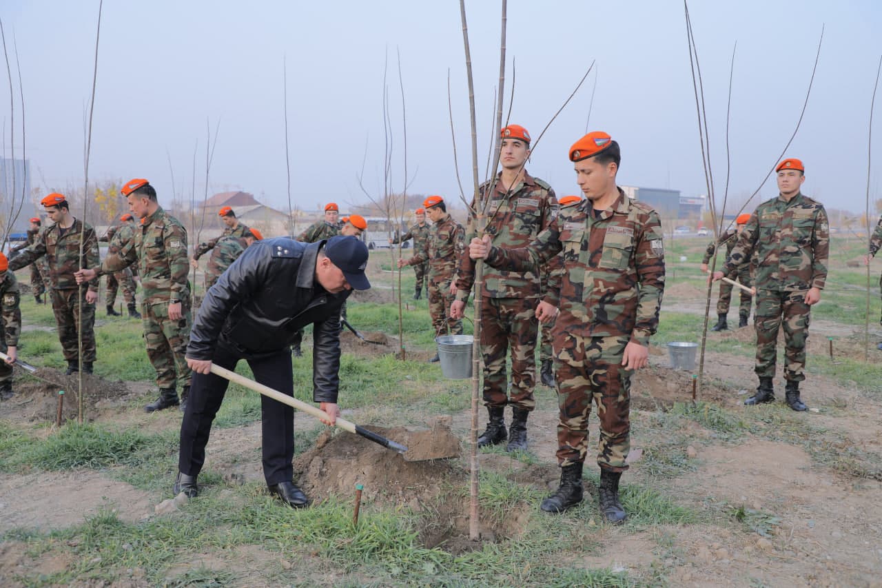 "Yashil makon" dasturi amalda