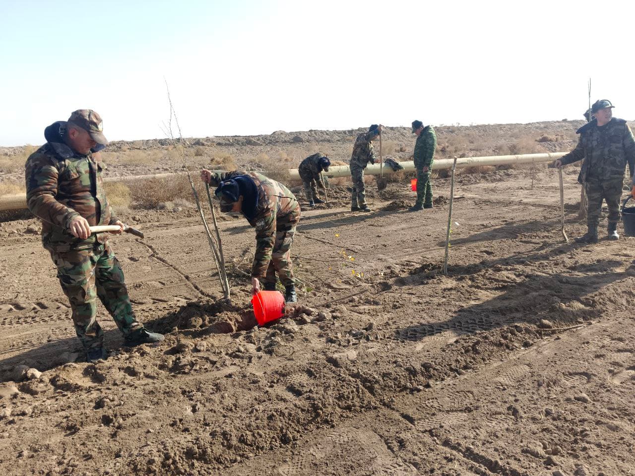 "Yashil makon" dasturi amalda