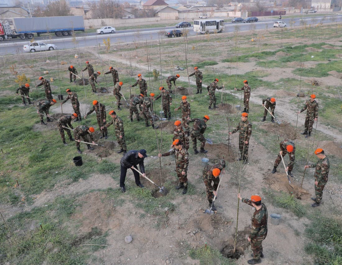 "Yashil makon" dasturi amalda