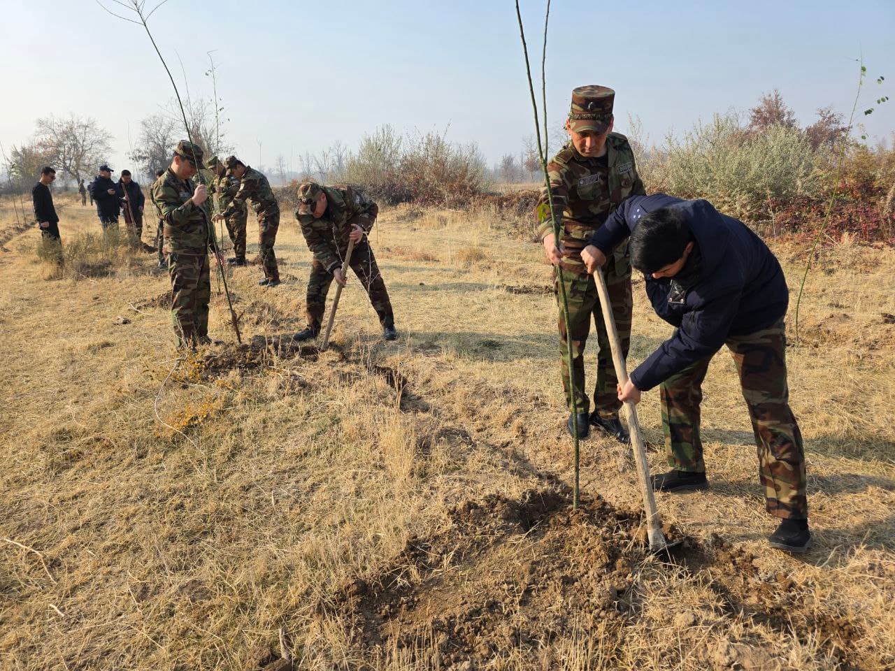 "Yashil makon" dasturi amalda