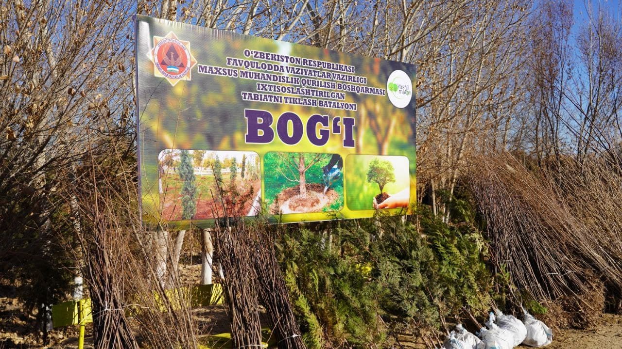 Qoraqalpog‘iston Respublikasining Mo‘ynoq tumani Qizil jar hududidagi ko‘kalamzorlashtirish ishlari