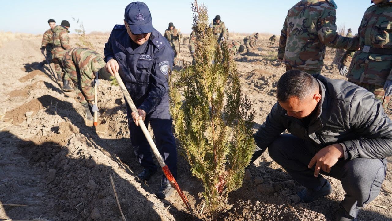 Qoraqalpog‘iston Respublikasining Mo‘ynoq tumani Qizil jar hududidagi ko‘kalamzorlashtirish ishlari