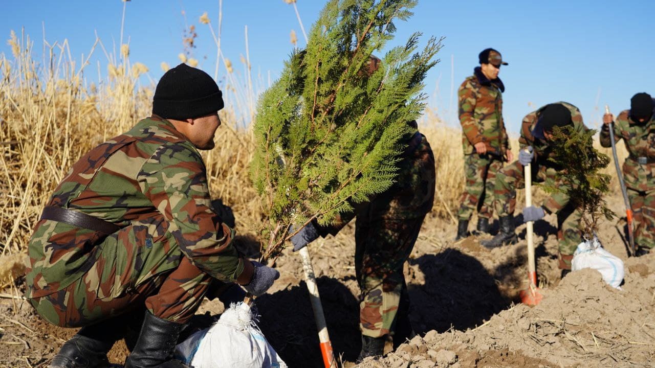 Qoraqalpog‘iston Respublikasining Mo‘ynoq tumani Qizil jar hududidagi ko‘kalamzorlashtirish ishlari