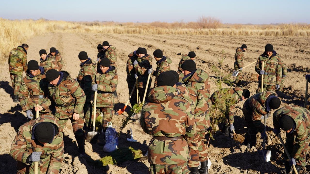 Qoraqalpog‘iston Respublikasining Mo‘ynoq tumani Qizil jar hududidagi ko‘kalamzorlashtirish ishlari