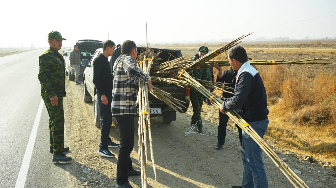 Yashil makon” umummilliy loyihasi doirasida Jizzax viloyati FVB xodimlari tomonidan Paxtakor tumani hududida keng ko‘lamli ko‘kalamzorlashtirish ishlari amalga oshirildi