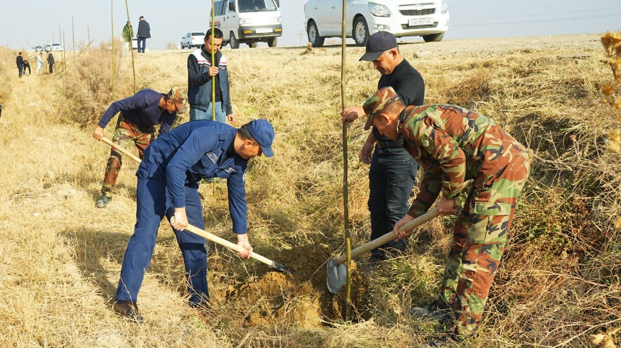 Yashil makon” umummilliy loyihasi doirasida Jizzax viloyati FVB xodimlari tomonidan Paxtakor tumani hududida keng ko‘lamli ko‘kalamzorlashtirish ishlari amalga oshirildi