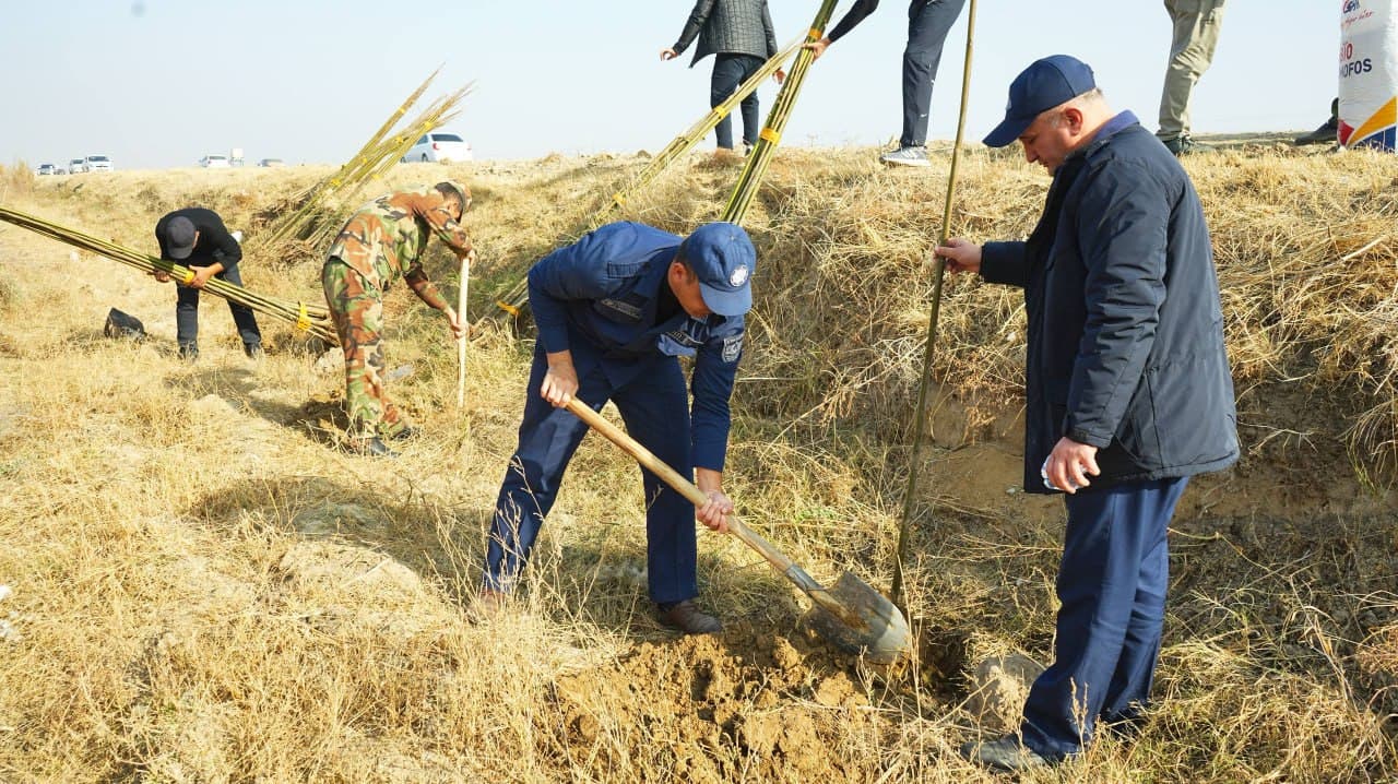 Yashil makon” umummilliy loyihasi doirasida Jizzax viloyati FVB xodimlari tomonidan Paxtakor tumani hududida keng ko‘lamli ko‘kalamzorlashtirish ishlari amalga oshirildi